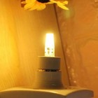 Foto 16 di 24