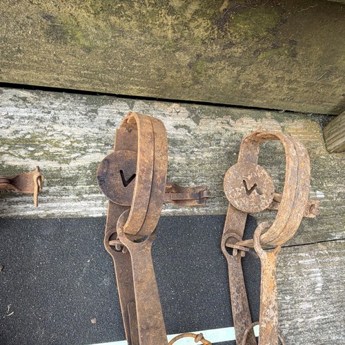 Vintage Steel Foothold Hunting Animal Traps w/ Chains, Lot of 5 | eBay