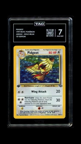TAG 7 Pokémon TCG Pidgeot 1st Edition 8/64 Jungle Holo WOTC