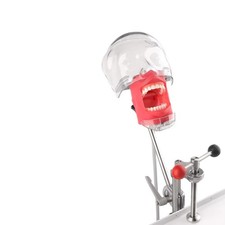 Dental Simulator Nissin Manikin Phantom Head Model with Bench Mount for Dentist
