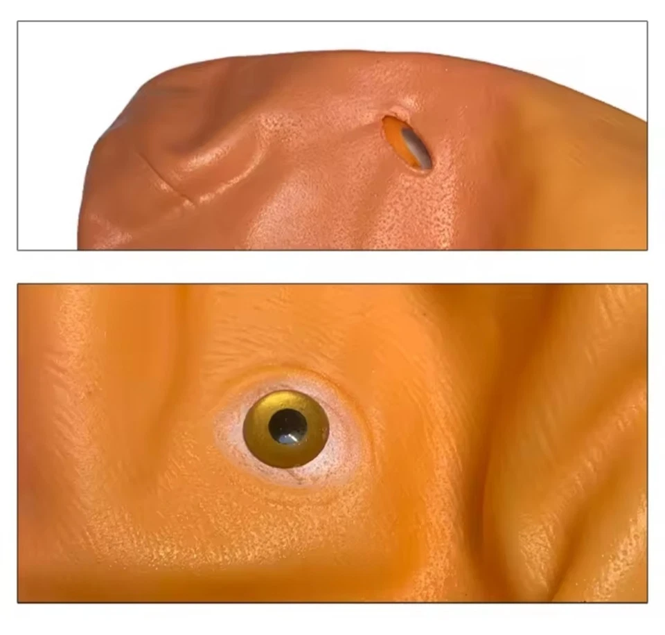 Máscara de látex de cabeza completa de pato amarillo para adultos máscara de pato - fiestas de disfraces y disfraces Foto 4 de 4