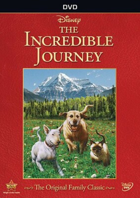 その他 Incredible Human Journey [DVD] Amazon.com: The Incredible Human Journey : Alice Roberts: Movies & TV
