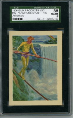 1956 Adventure # 37 No Circus Stunt Graded Card SGC 88 = 8 Gum