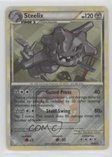 Steelix Pokémon League and Championship #24 2009