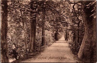 Oxford Addisons Walk Great Britain Scenic Landscape Sepia BW Postcard