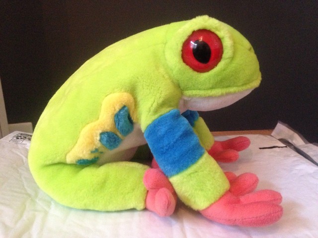 red eyed tree frog plush