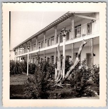 Vtg B&W Snapshot Two-Story Hotel Motel Balcony & Driftwood Garden Yard 1950s
