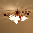 Bild 14 von 23