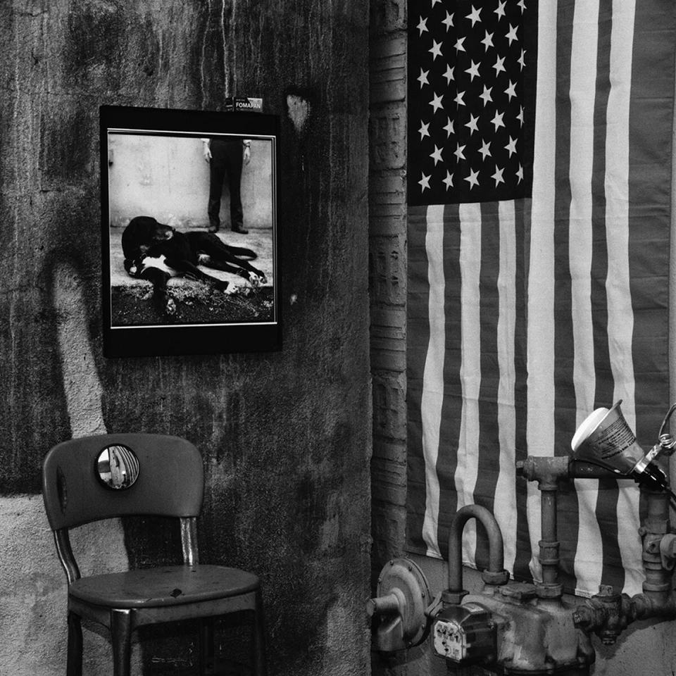 Película en blanco y negro Fomapan Action 400 ISO 120 *RECIÉN FECHADA* Foto 3 de 3