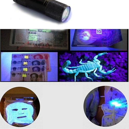 Linterna UV Ultra Violeta 9LED Blacklight 395nM Inspección AAA Lámpara Antorcha - Imagen 7 de 16