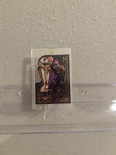 2024-25 Panini Silhouette - Hand Crafted LeBron James #12 Bronze /49