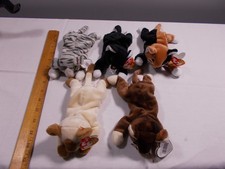1990s Lot of 5 Cat Beanie Babies CATS - Snip - Zip - Chip - Prance - Pounce