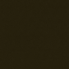 Michael Miller Fabrics~ Garden Pindot~Java (Dark Brown) Tonal BTY CX1065