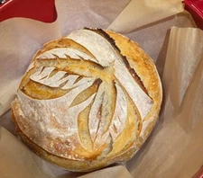 Sourdough Starter Dehydrated Tasty San Francisco From The Wharf - 15 Gram Bag