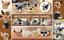 thumbnail 7  - 3D Hand Painted Dog Coffee Tea Ceramic Mug w/ Spoon Cute Dog Lover Pet Gift