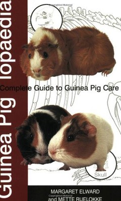 Meerschweinchen Ein kompletter Leitfaden für Meerschweinchen von Elward, Margaret (Autor 