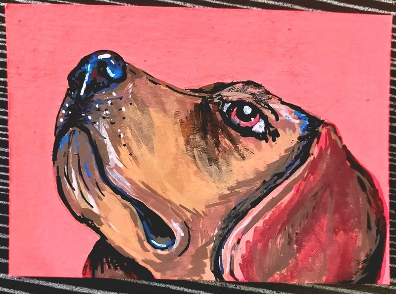 ACEO, Original Dog Portrait Painting Contemporary Art Animals Theme, Small