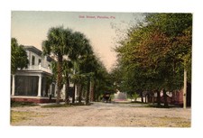 Oak Street Palatka Florida FL Vintage Postcard Horse Drawn Carriage Oak Street Palatka Florida FL Vintage Postcard Horse Drawn Carriage