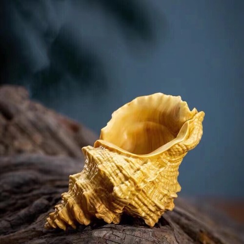 Chinese Boxwood Wood Hand Carving Conch Statue