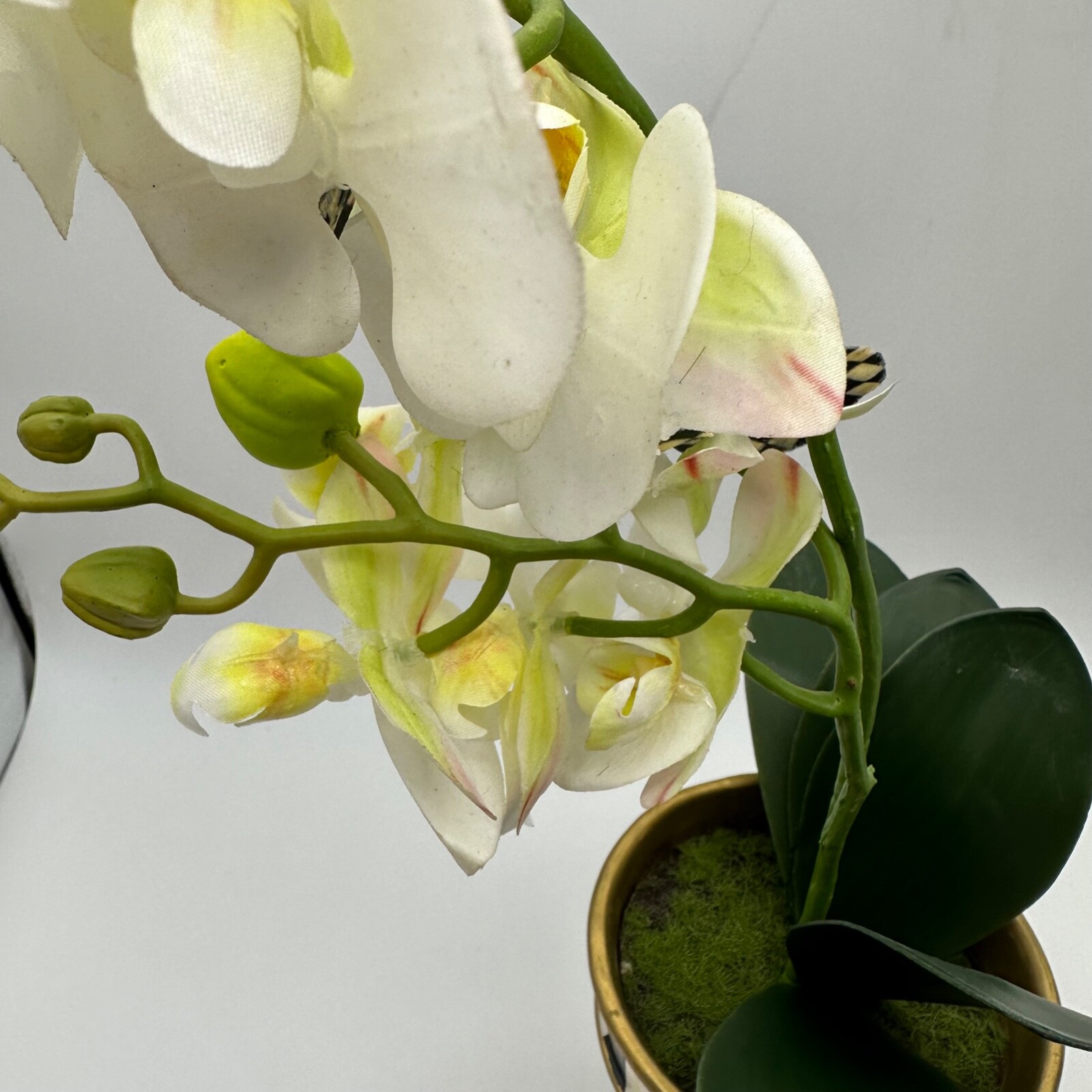 Bild 7 von 12