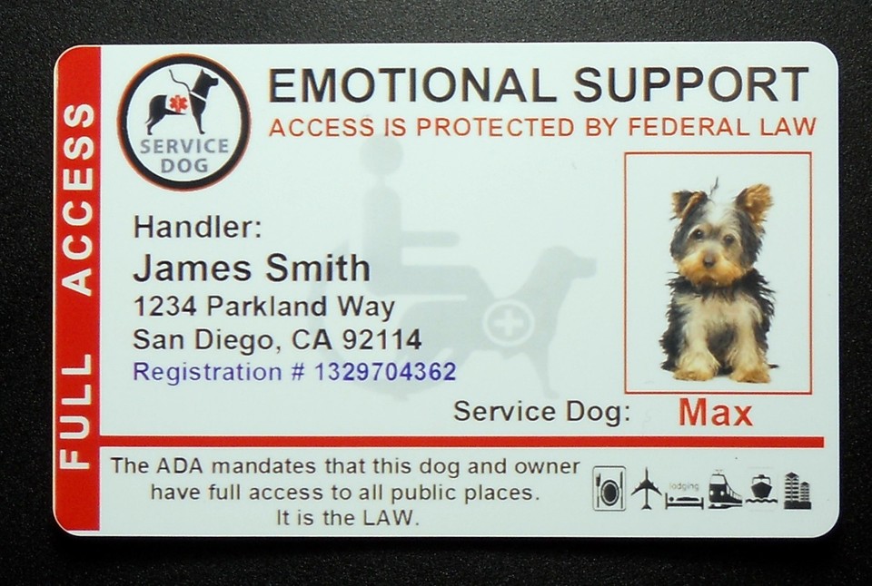 Holographic Emotional Support Animal ID Card Service Dog ID Badge 8 ESA ...