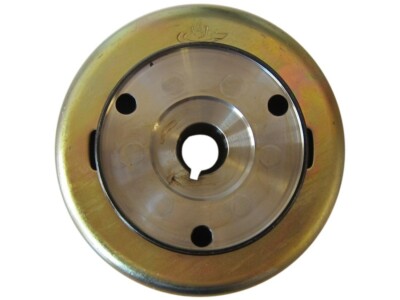 Pickup Coil Igniter Stator Trigger Ch250 Gy6 250cc Scoot Aac | Meses Sin Interés - Foto 11