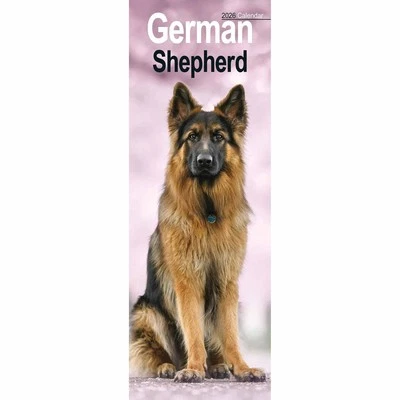 AVONSIDE PUBLISHING LTD German Shepherd Slim Calendar 2026 - Dogs - Month To View