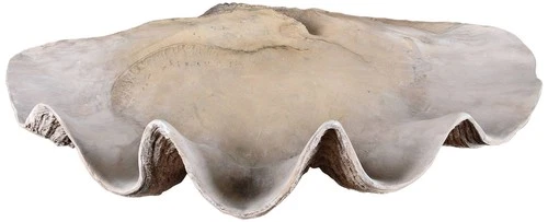 Clam Shell 22 3/4" Wide Stone Accent Bowl by Uttermost - Picture 2 of 2