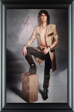 Aerosmith Steven Tyler Autographed Framed 24x36 Canvas Photo Print Video Proof A