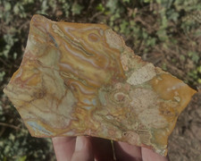 Crayola Rhyolite Jasper Slab from  146 grams or 5.1 oz