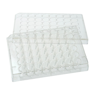 48 Well TCT Plate with Lid, 100/Case, Sterile, #667148E