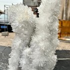 Bild 7 von 15