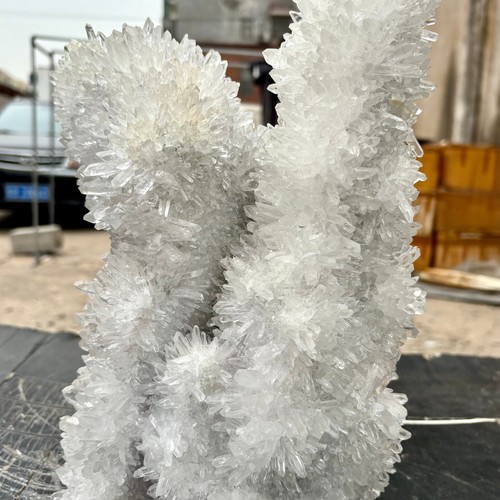 22.04LB Natural White Chrysanthemum Clear QUARTZ Crystal Cluster Point Specimen - 第 7/15 張圖片