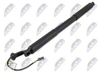 Original NTY Elektromotor Heckklappe AE-PE-049