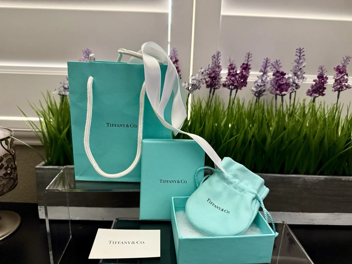 ティファニー　ポーチ　100枚セット Tiffany Pouch for sale | eBay