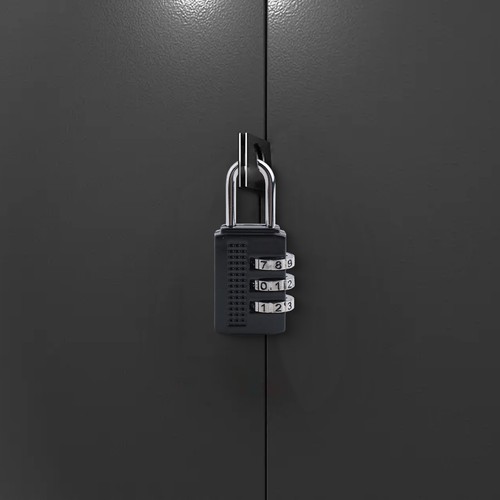 Advanced Security Features 4 Digit Zinc Alloy Lock with 10 000 Combinations - Picture 3 of 90