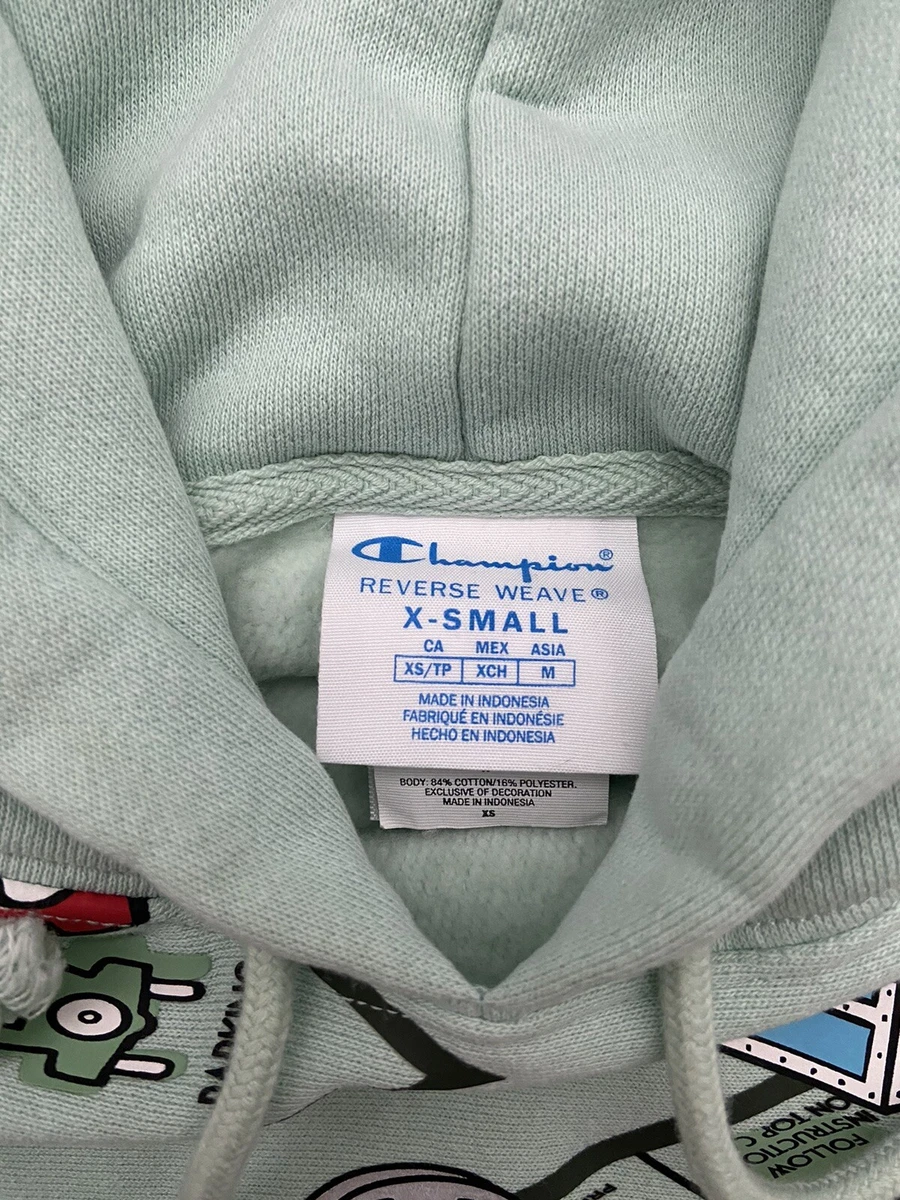 Champion sweater mint clearance 99