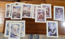 Jody Bergsma Signed 5x7 Blank Eagle Note Cards with Envelopes- Set of 15