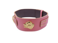 2.5" Baby Pink Heavy Duty Leather Collar with Unique Gold American Bully Badge