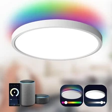 TALOYA Smart Ceiling Light Flush Mount LED WiFi,Compatible with Alexa Google ...