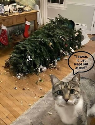 CAT Vs CHRISTMAS TREE POSTER 24 X 18 INCH Christmas Wall Art | eBay