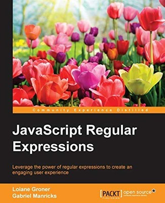 JAVASCRIPT REGULAR EXPRESSIONS By Loiane Groner & Gabriel Manricks **Excellent**