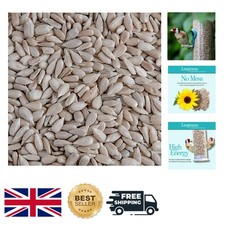 Bakery-Grade Sunflower Hearts for Wild Birds - No Mess, High Energy 5kg 4.20 per kilo