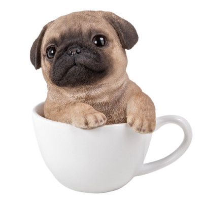 pugs in a cup