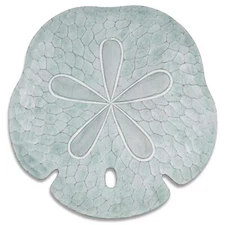Handcarved Coastal Seafoam Sand Dollar Shell Beach Wall Dcor