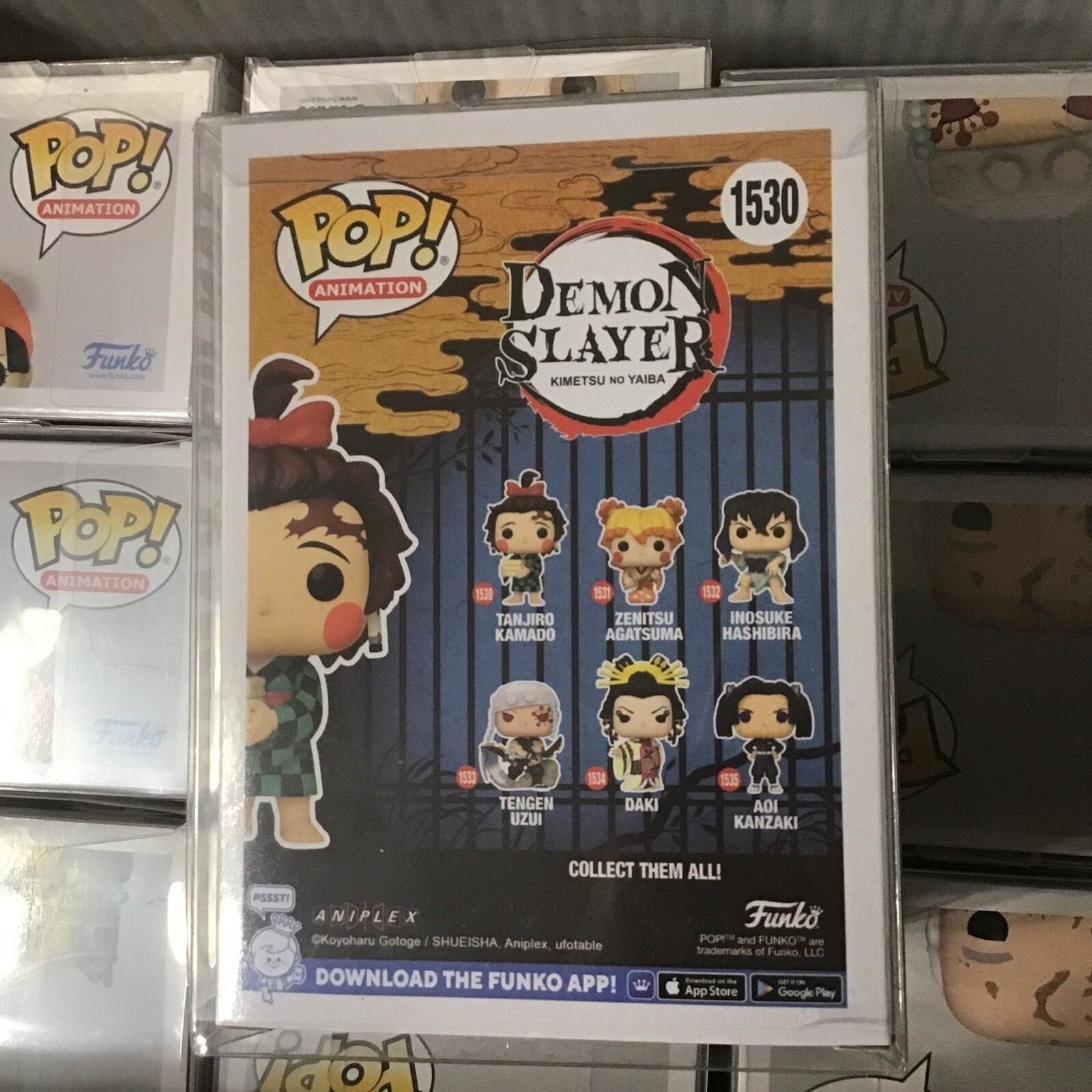 Picture 3 of 6