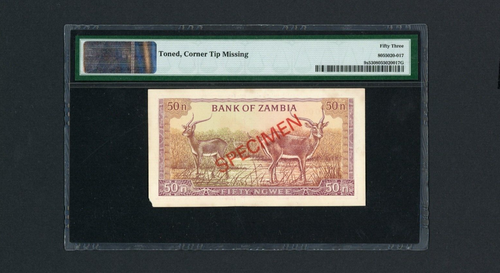 ZAMBIA SPECIMEN Banknote P9s , ND(1969) , 50 Ngwee , PMG 53 - Picture 2 of 2