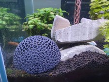 Aquariums Hideouts Shelter House for Betta Fish and Shrimp Hiding Breeding Cave