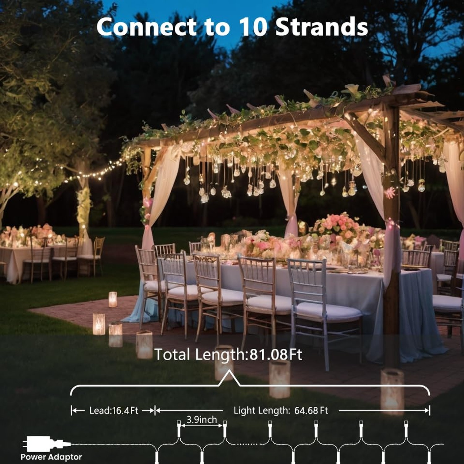 Warm White Twinkle Lights, 81Ft 200 LED Twinkle Christmas Lights, UL Certifie...