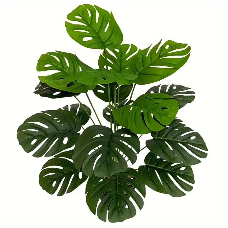 philodendron white measure Philodendron 'White Measure' 4"  Urban Sprouts